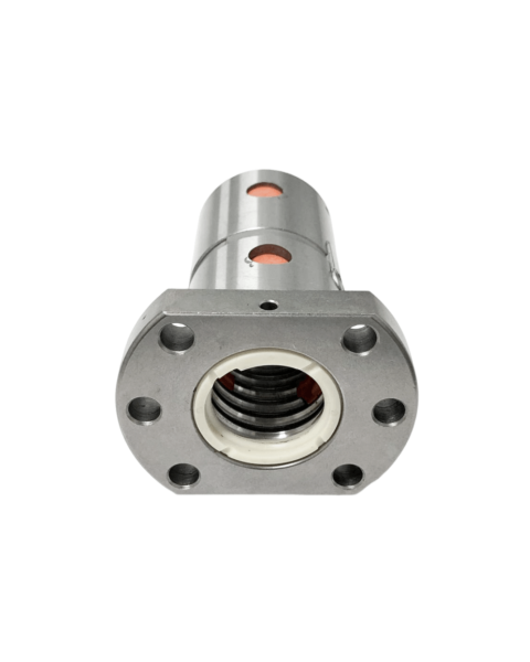 CASTANHA DUPLA 16X05