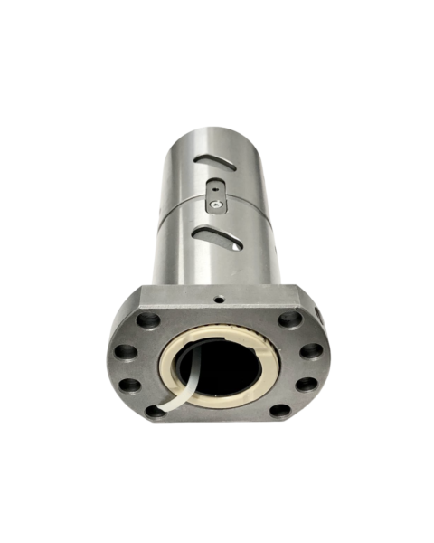 CASTANHA DUPLA 50X20